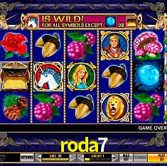 roda7 Rio de Janeiro - Bonus Terms